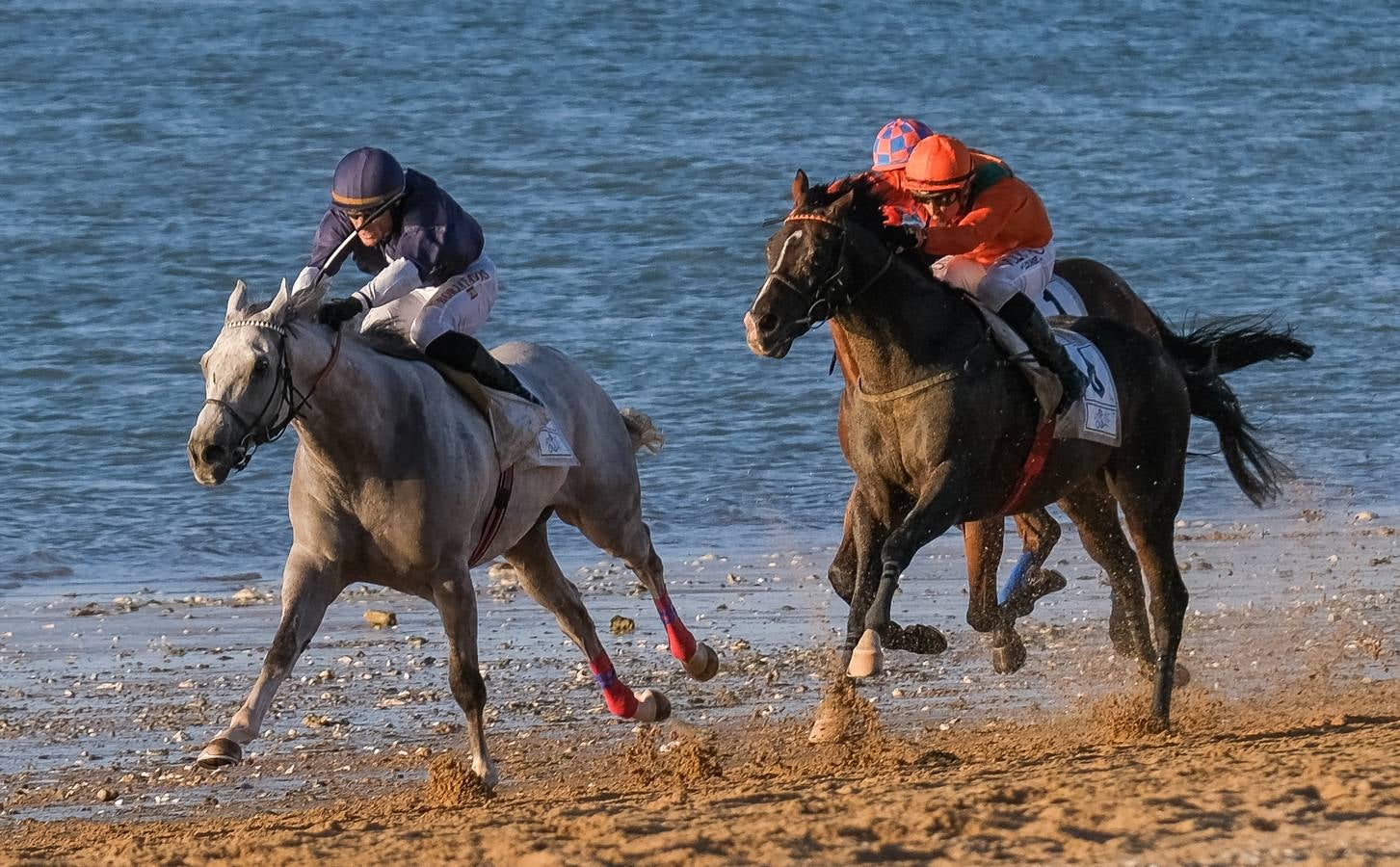 Fotos: Sanlúcar disfruta con el último galope del verano