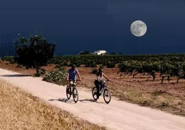 El Puerto organiza este sábado una 'Ruta guiada nocturna bajo la luna llena entre viñas'