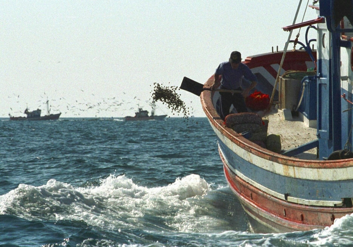 Los barcos ya pueden salir a pescar chirla en el Golfo de Cádiz.