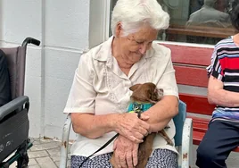 Emotivo reencuentro de los abuelos de una residencia de Sanlúcar  con perros rescatados: «se les ha iluminado la cara»