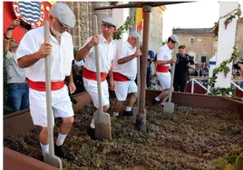 Fotos: La tradicional pisa de la uva inaugura oficialmente la Fiesta de la Vendimia