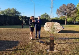 La UCA planta un alcornoque en honor a Alejandro Sanz en su campus de Puerto Real