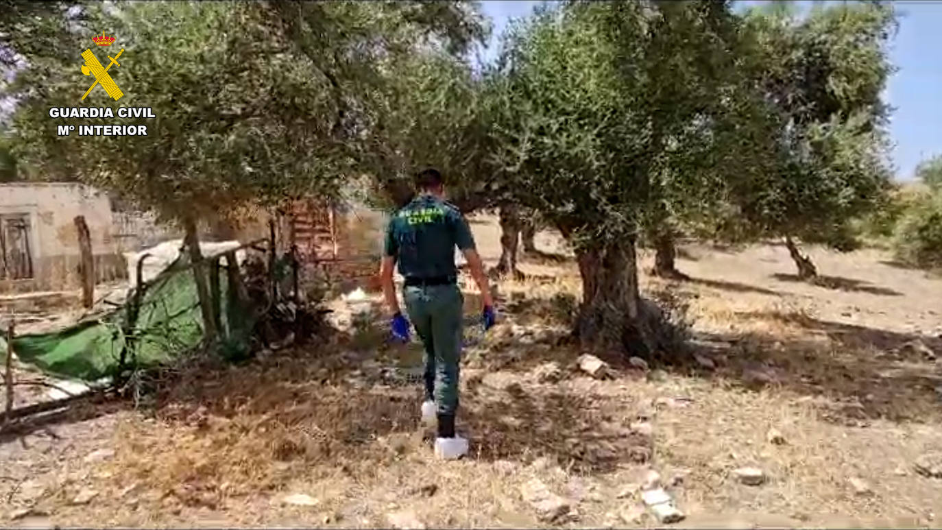 Detenido el responsable de la muerte de dos perros por maltrato animal en San José del valle