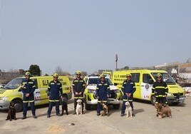 Siete bomberos gaditanos y cuatro perros viajan a Marruecos para ayudar a rescatar supervivientes