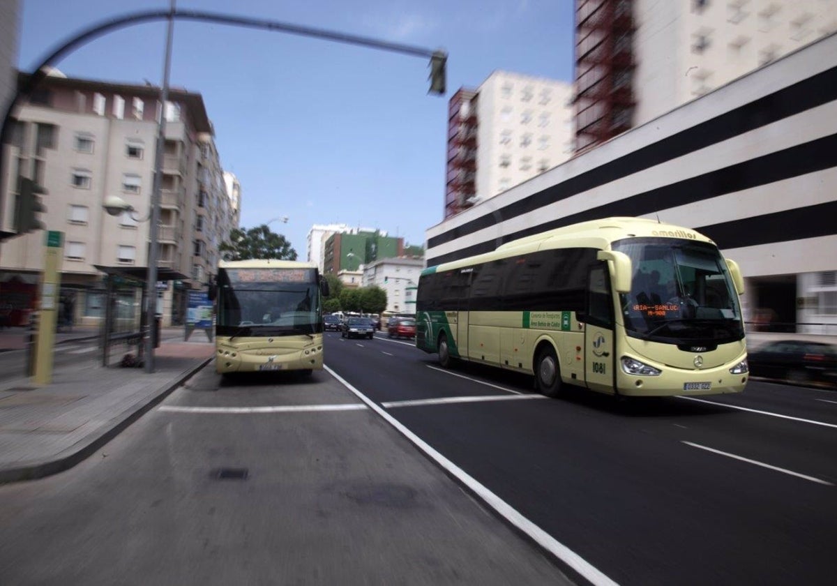 Autobuses del Consorcio de Transportes de la Bahía de Cádiz.