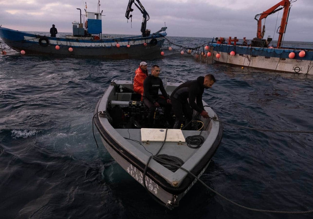 Los almadraberos alertan del impacto del futuro parque eólico marino en La Janda para la pesca del atún rojo