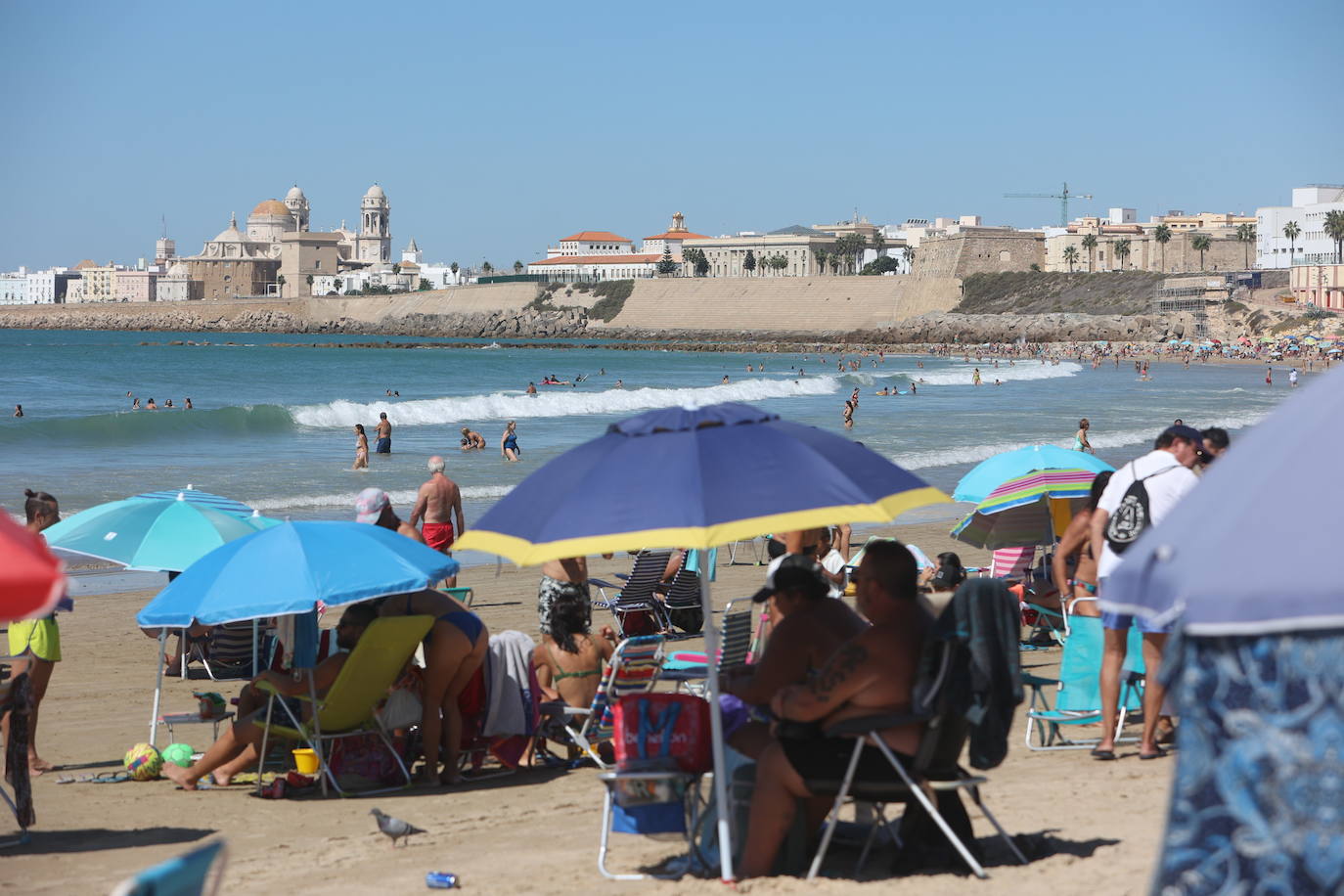 Fotos: Los gaditanos disfrutan del &#039;veroño&#039;... y con sus mascotas