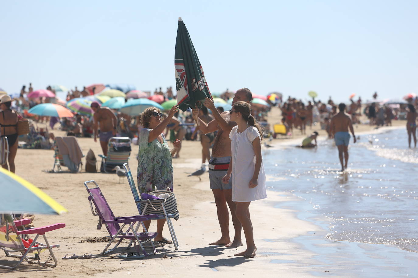 Fotos: Los gaditanos disfrutan del &#039;veroño&#039;... y con sus mascotas