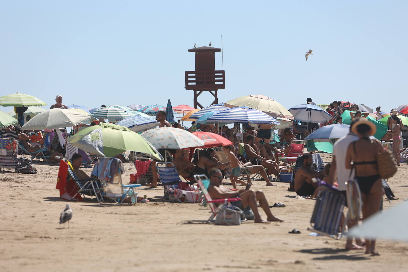 Fotos: Los gaditanos disfrutan del &#039;veroño&#039;... y con sus mascotas