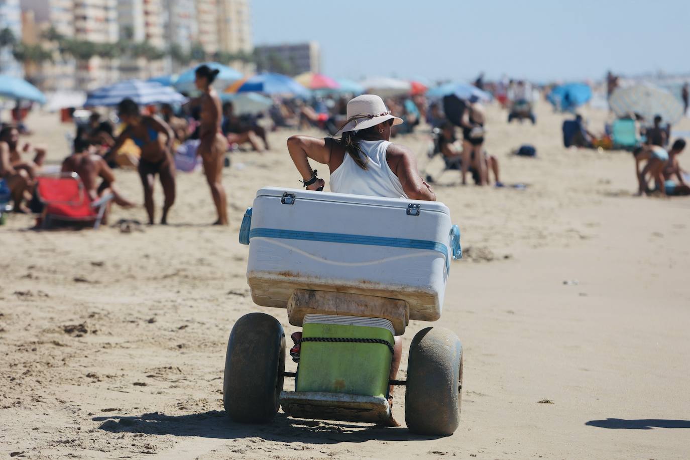 Fotos: Los gaditanos disfrutan del &#039;veroño&#039;... y con sus mascotas