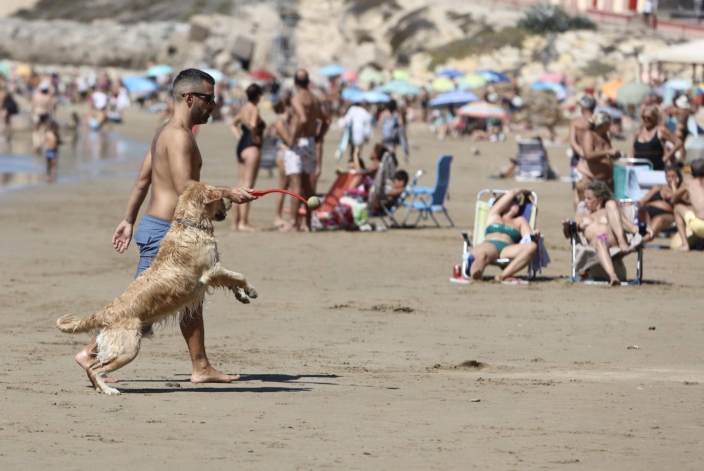 Fotos: Los gaditanos disfrutan del &#039;veroño&#039;... y con sus mascotas