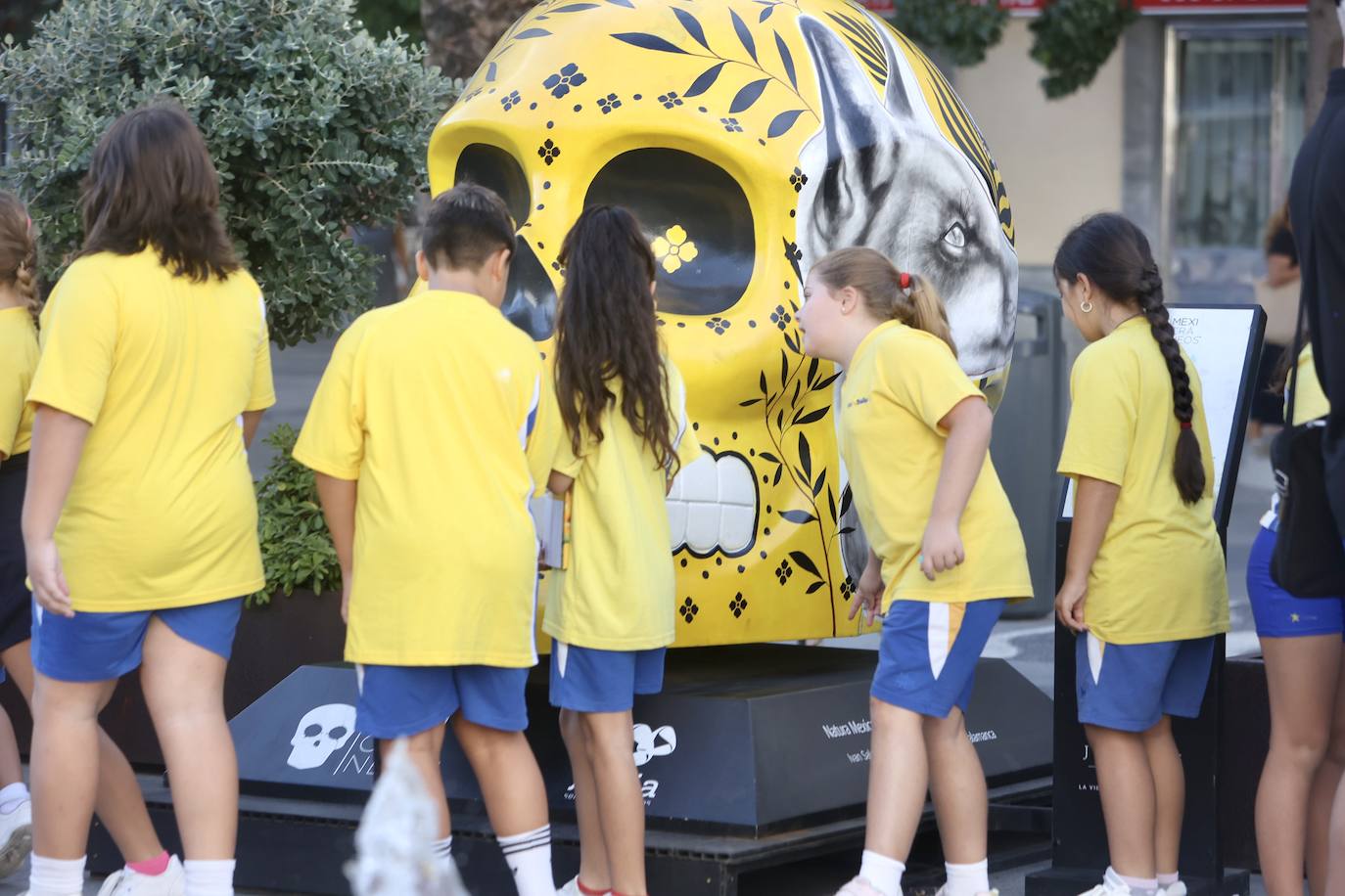 Fotos: así es la nueva exposición que hay en San Juan de Dios