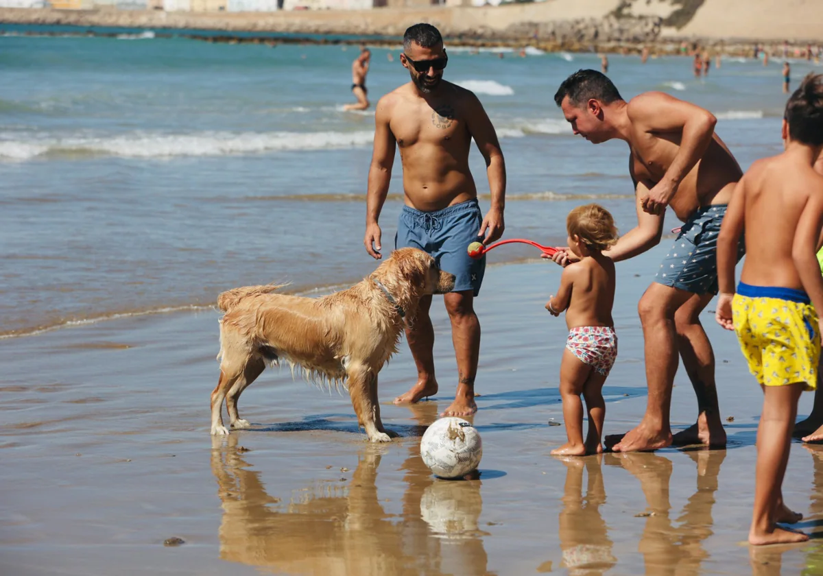 Las fechas en las que está permitido pasear con tu perro en las playas de Cádiz