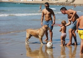 Las fechas en las que está permitido pasear con tu perro en las playas de Cádiz