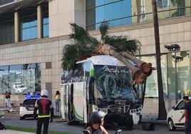 Grave accidente de autobús con al menos tres muertos en Cádiz