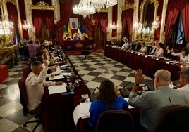 El PP coloca contra las cuerdas al PSOE en la Diputación de Cádiz en un debate sobre la amnistía