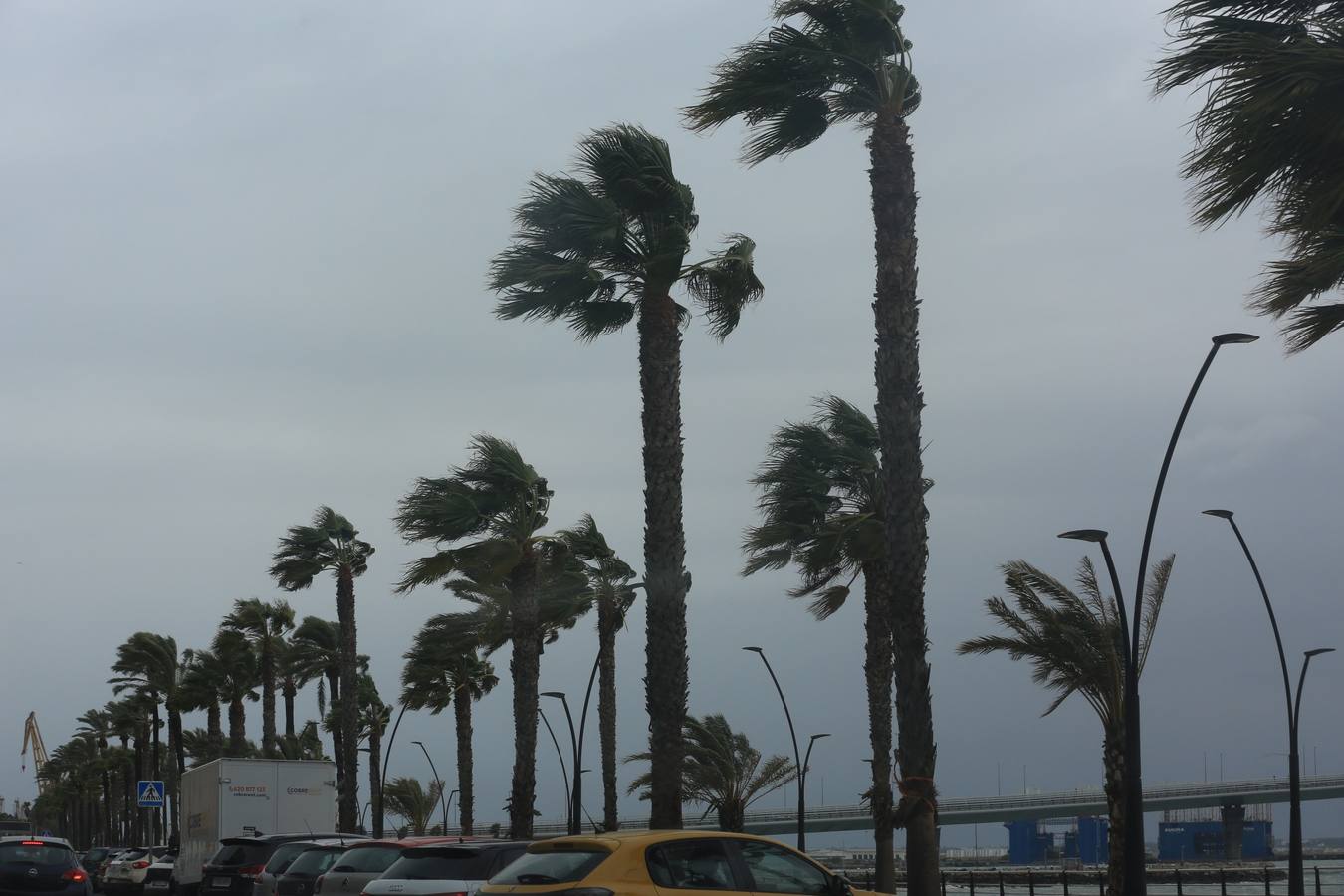 Fotos: Los efectos del paso de la borrasca Bernard en Cádiz