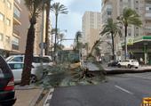 Las espectaculares imágenes del temporal Bernard a su paso por Cádiz
