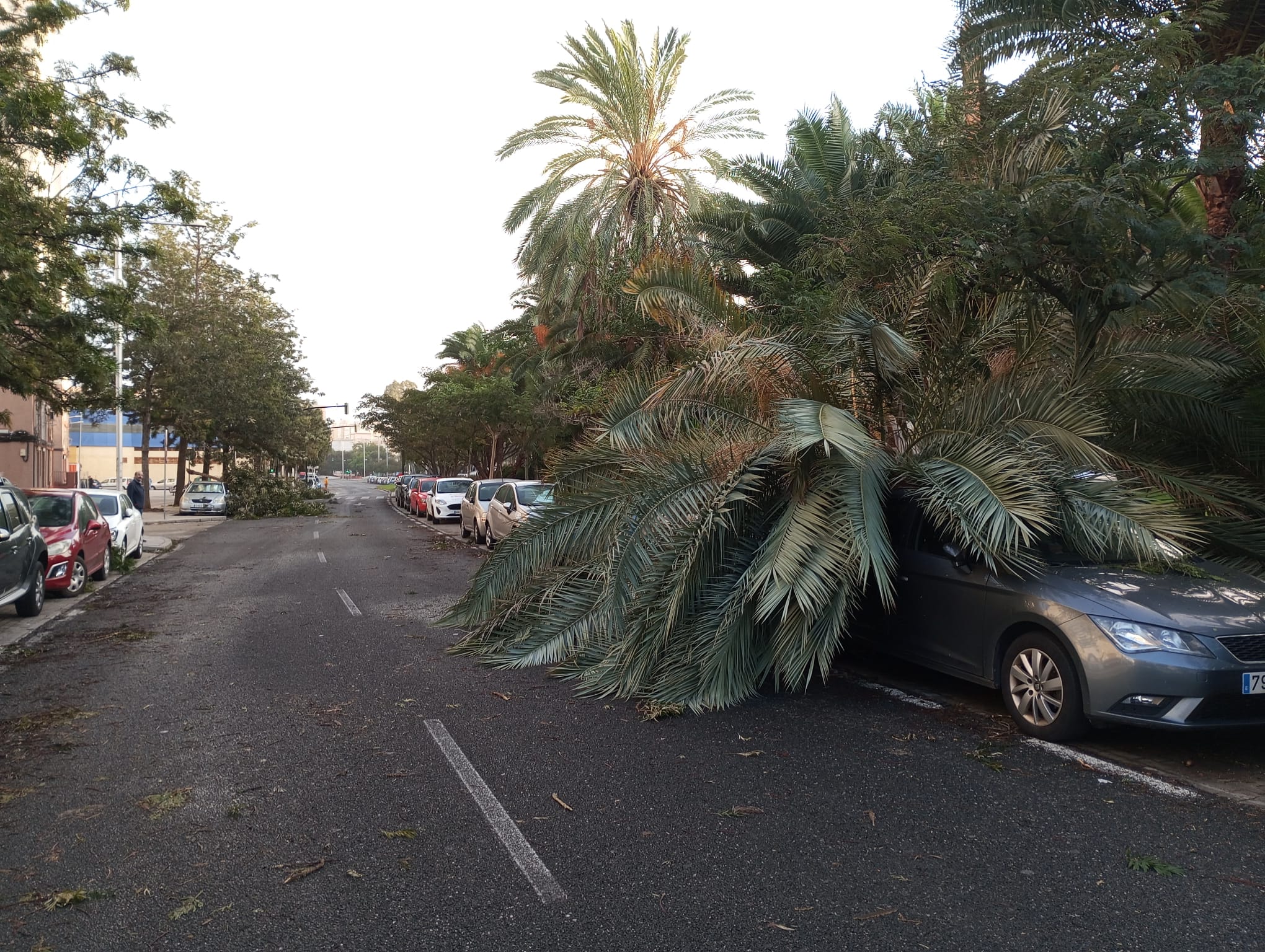 Fotos: Los efectos del paso de la borrasca Bernard en Cádiz