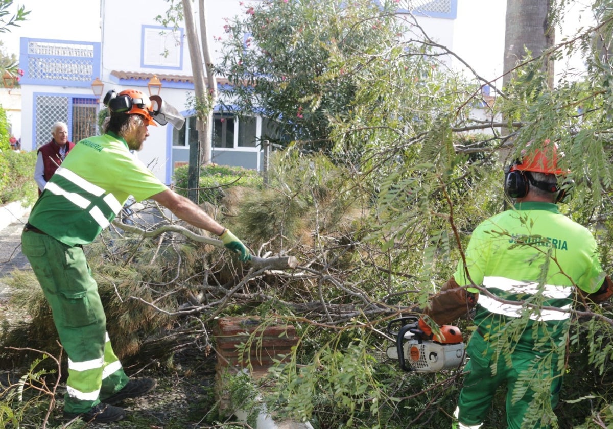 Los operarios trabajan sin descanso