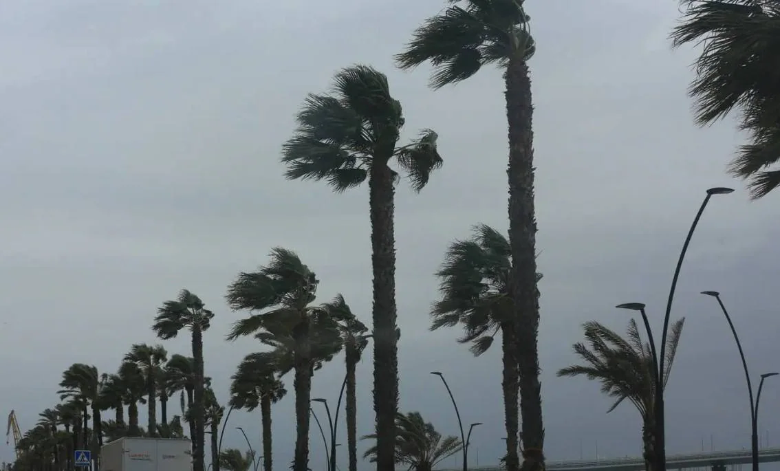 El viento fue el protagonista de la jornada de ayer en Cádiz