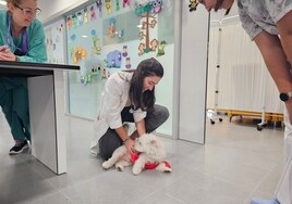 Los pequeños ingresados en el Hospital de la Línea reciben la visita de perros para amenizar su estancia