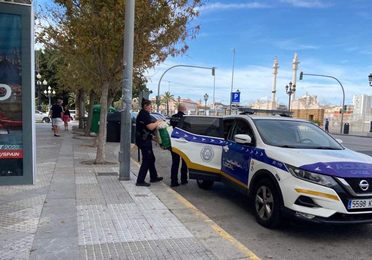 La Policía se ha hecho con 500 prendas