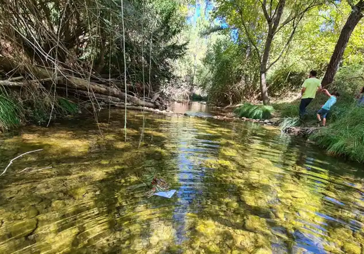 El sendero del río Majaceite.