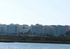 El Ayuntamiento de San Fernando señala «la deficiente gestión» de la Junta del Parque Natural Bahía de Cádiz