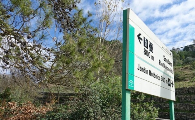 Este es el sendero que une El Bosque con Grazalema por el Boyar: kilómetros y duración