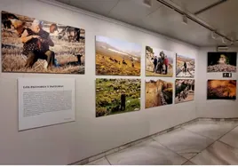 La veterinaria Mª Carmen García Moreno expone en Cádiz 40 fotografías de gran formato en 'Cuidando la piel de la tierra'