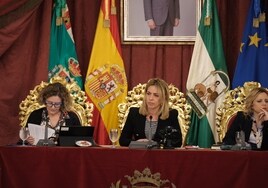Los presupuestos de Diputación para 2024 salen adelante pese a la oposición del PSOE
