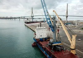 Una nueva grúa móvil para el Puerto de Cádiz
