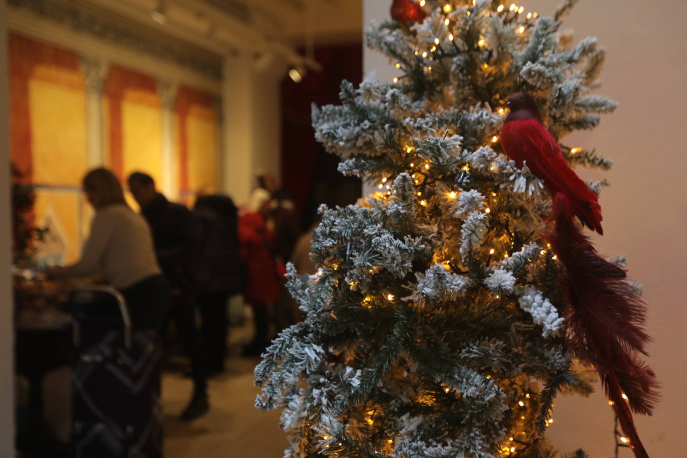 Fotos: Puente en Cádiz hacia la Navidad