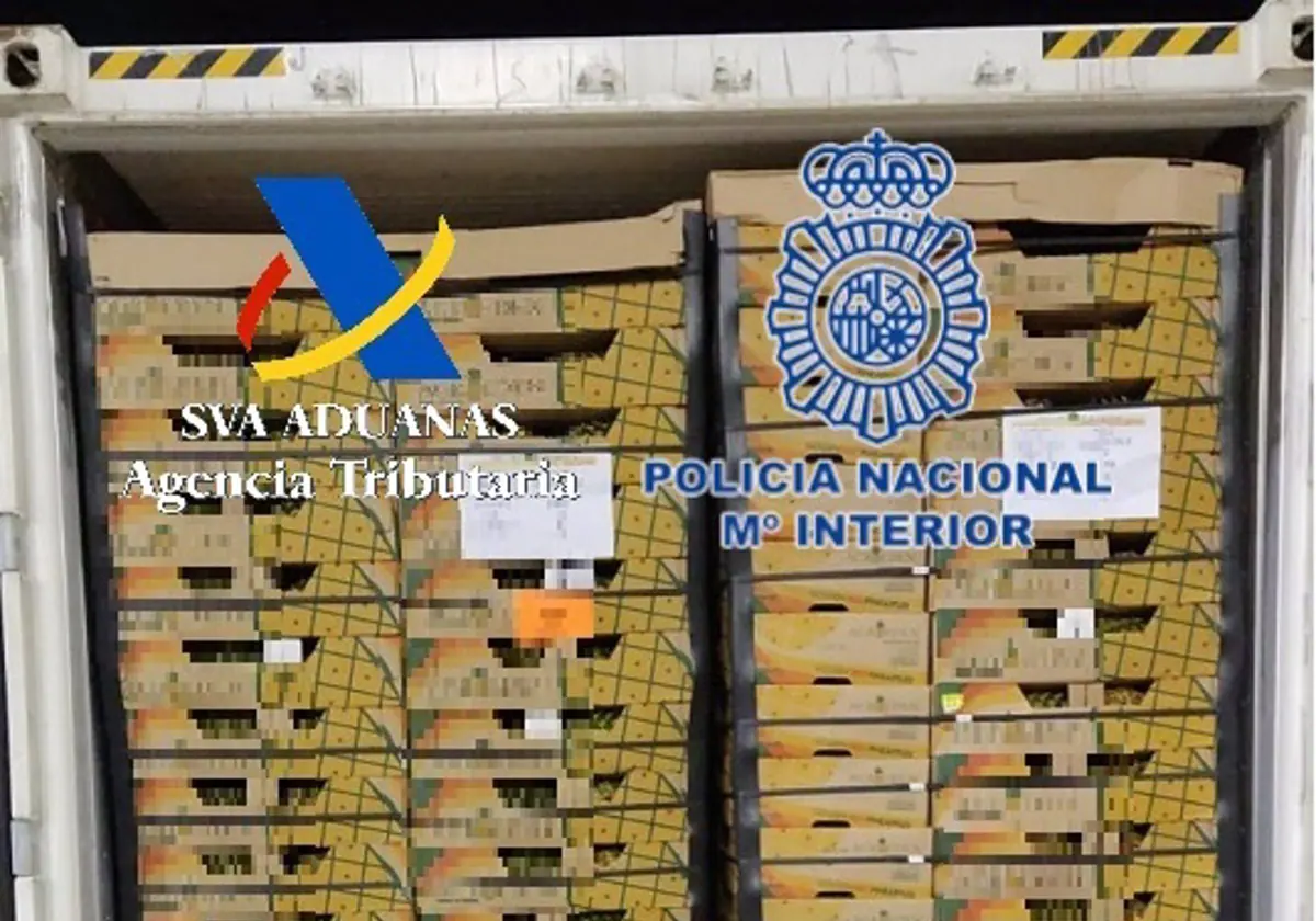 Localizan casi 60 kilos de cocaína ocultos entre piñas en el puerto de Algeciras