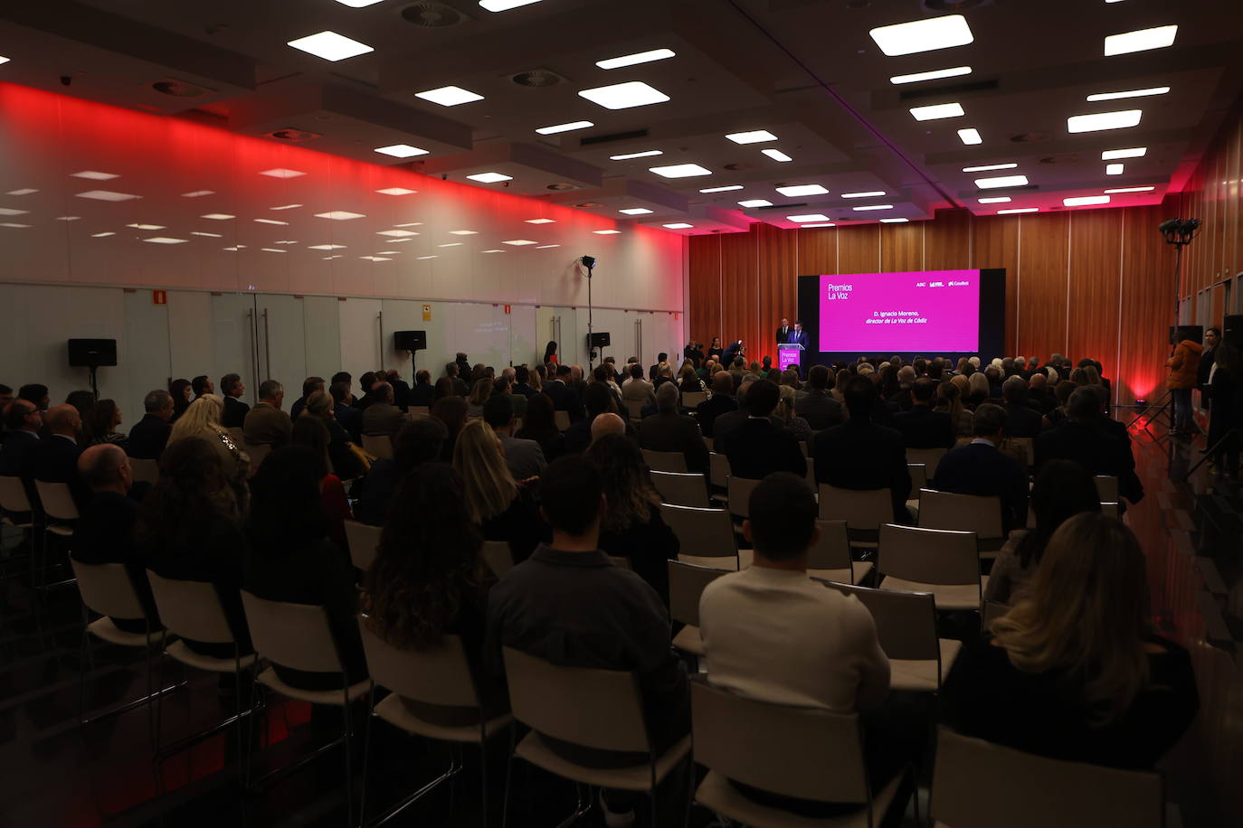 Fotos: Entrega de los Premios LA VOZ