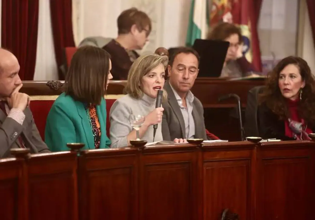 Maite González en una intervención en Pleno
