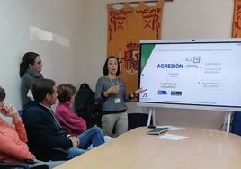 Profesionales de Distritos Bahía de Cádiz-La Janda y Sierra participan en talleres de prevención de agresiones