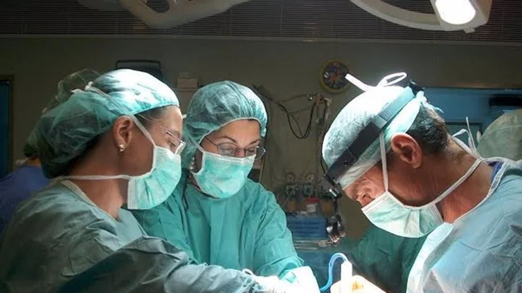 Cádiz, a la cabeza del trasplante de riñón en un año histórico