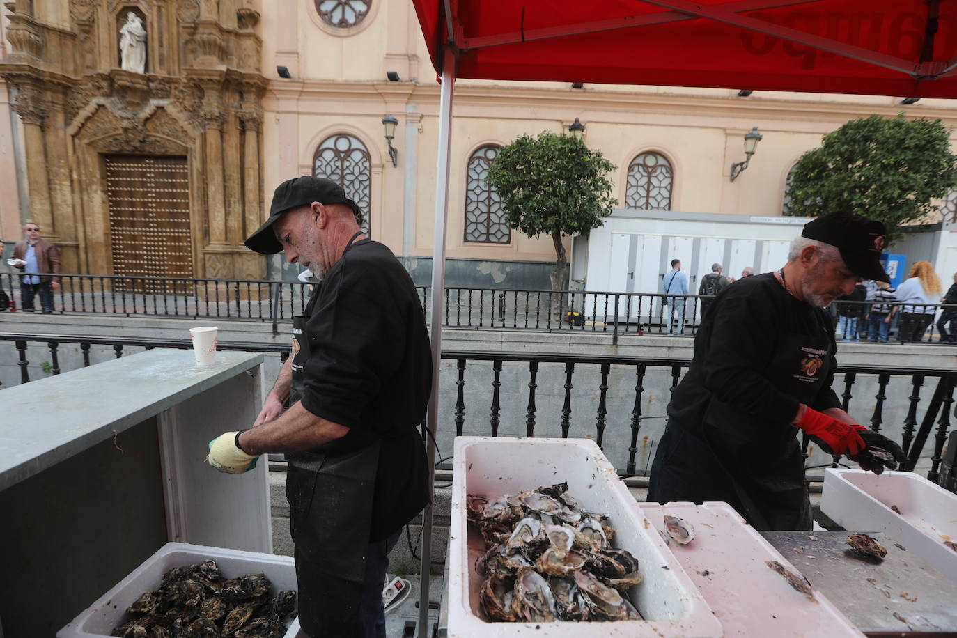 Carnaval de Cádiz 2024: Ostiones para abrir boca