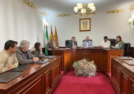 Siete ayuntamientos de Cádiz reciben 200.000 euros para impulsar el comercio local