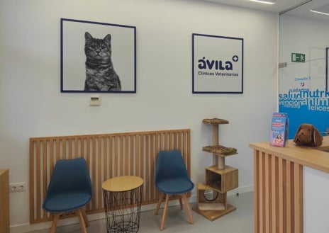 Imagen secundaria 1 - Clínicas Veterinarias Ávila expande su red con la inauguración de Clínica Ávila en Los Barrios