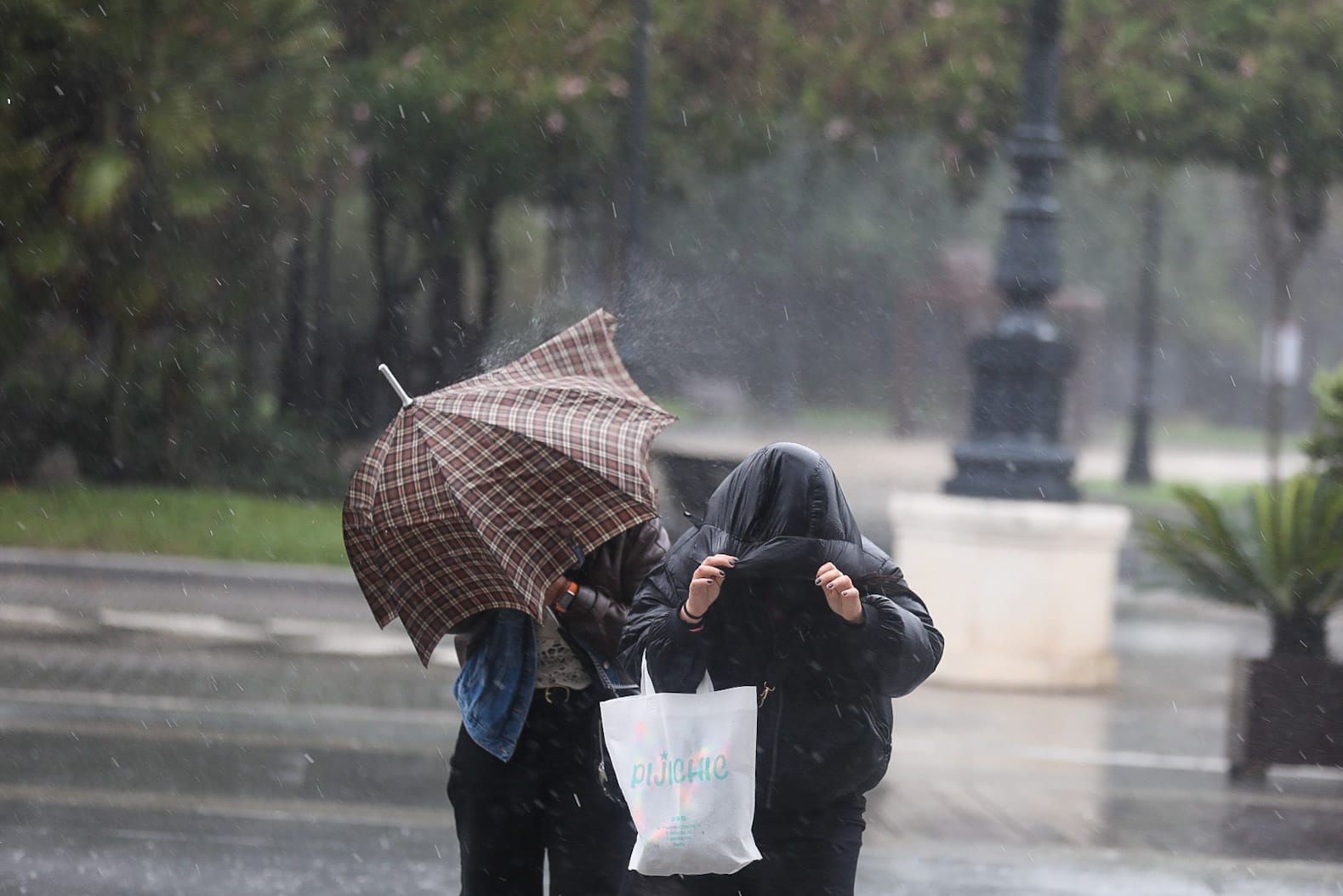 Fotos: La borrasca Karlotta azota con fuerza a Cádiz