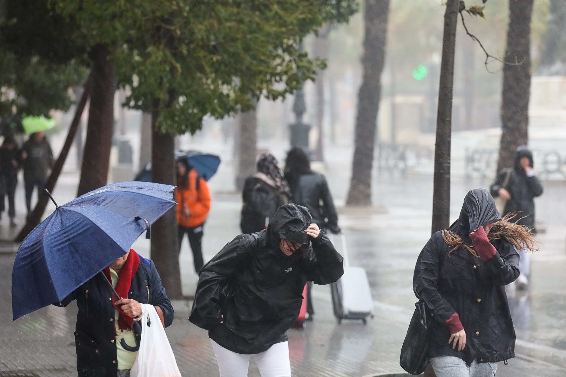 Fotos: La borrasca Karlotta azota con fuerza a Cádiz
