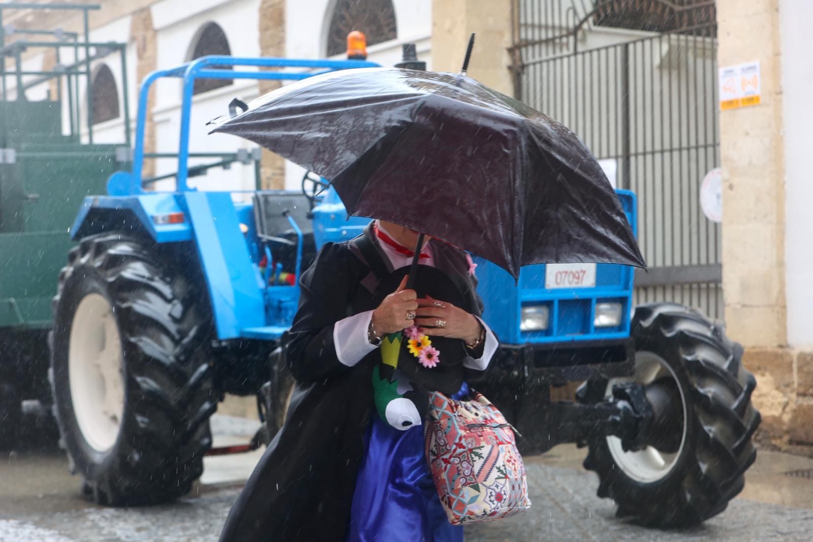 Fotos: Las imágenes de un domingo de Carnaval pasado por agua