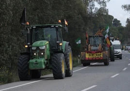 Las asociaciones agrarias concentrarán todas sus protestas del 22 de febrero en bloquear el Puerto de Algeciras