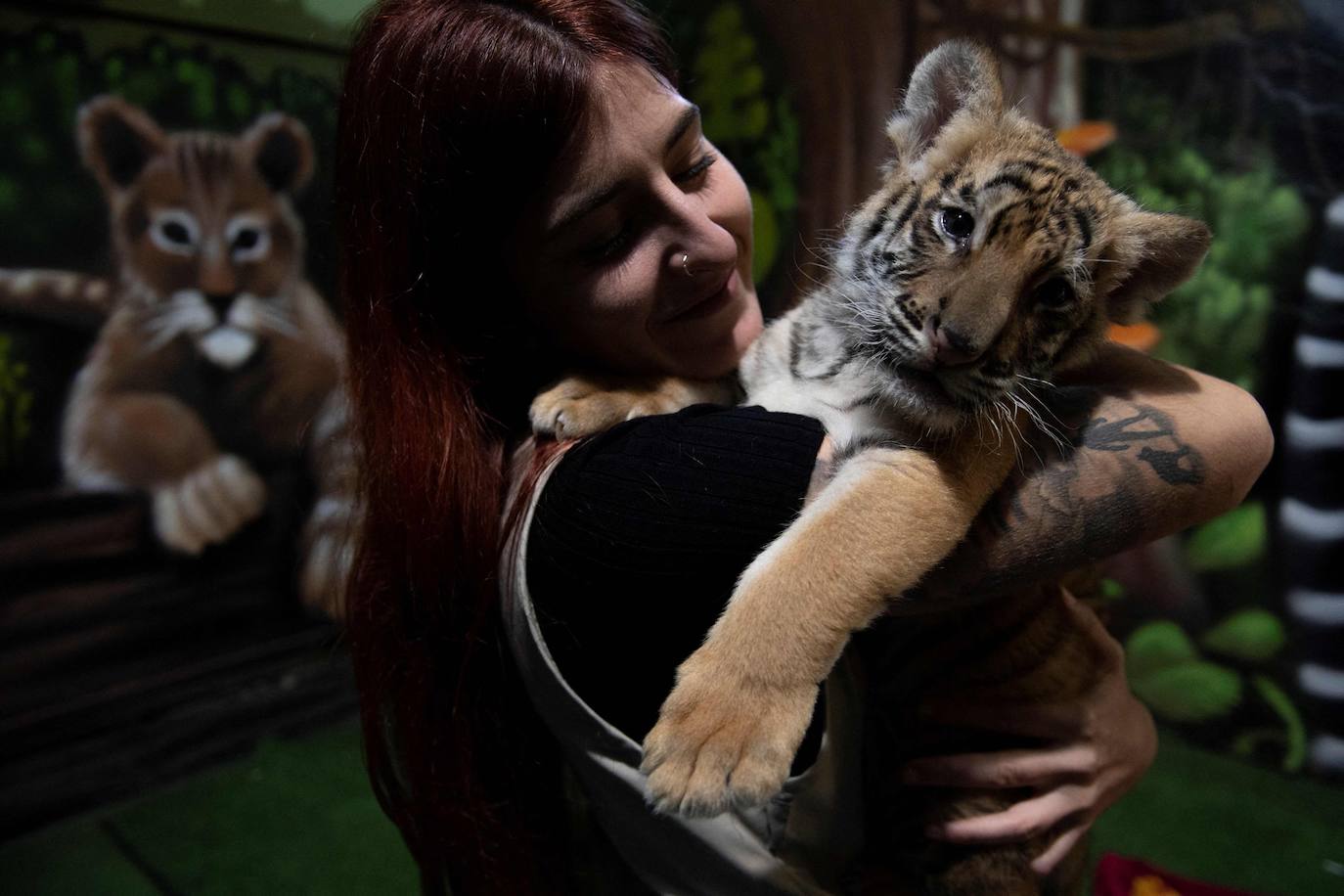 El cachorro de tigre de Bengala que ha nacido en un rinconcito de Cádiz