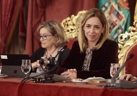 La Diputación de Cádiz traslada su apoyo al sector agrario con varias mociones en el pleno