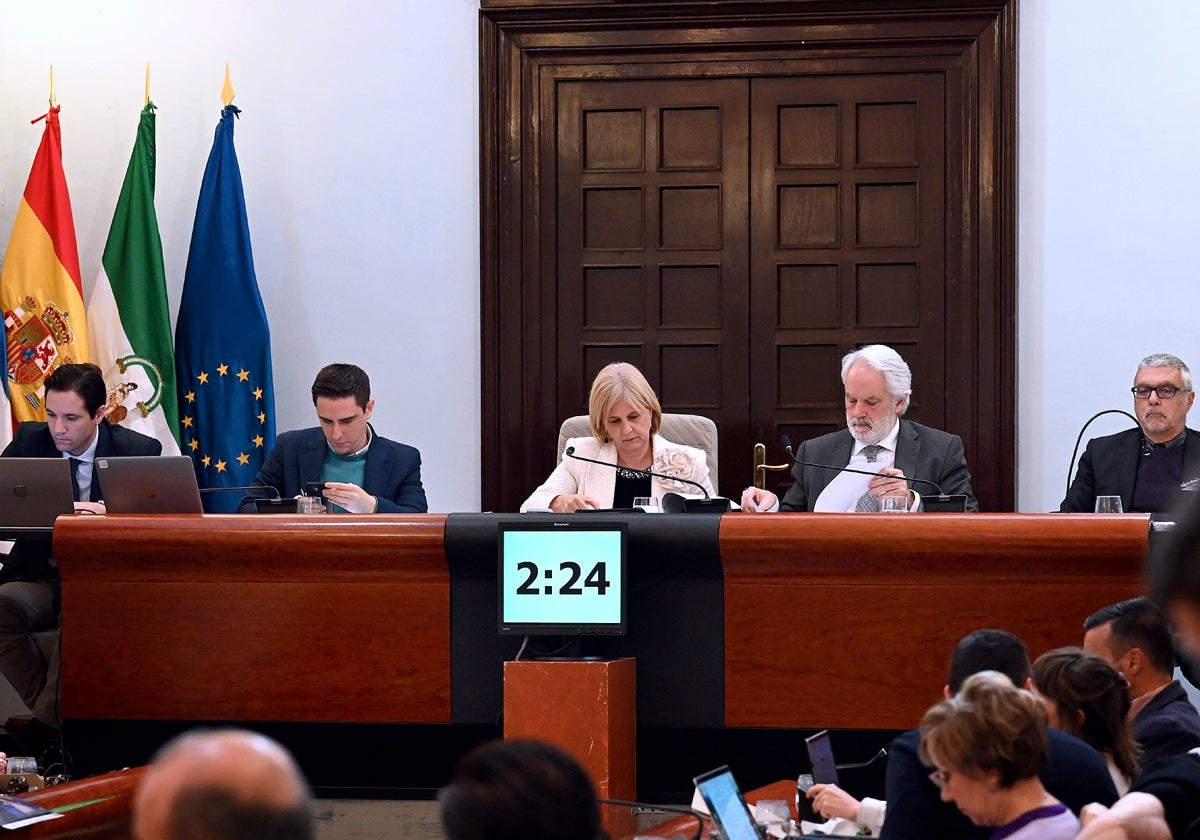 Pleno del Ayuntamiento de Jerez.