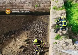 Un perro se precipita al foso del castillo de Santa Catalina de Cádiz